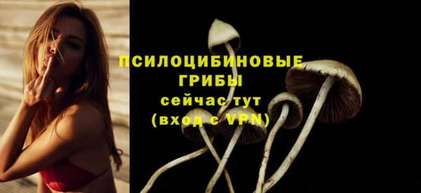 дмт Россошь