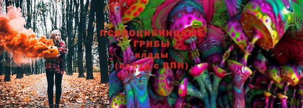 мет Рославль