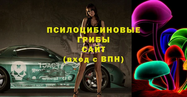 дмт Россошь